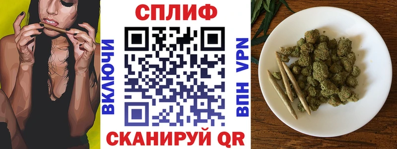 Купить  Каменск-Уральский  Конопля сатива 